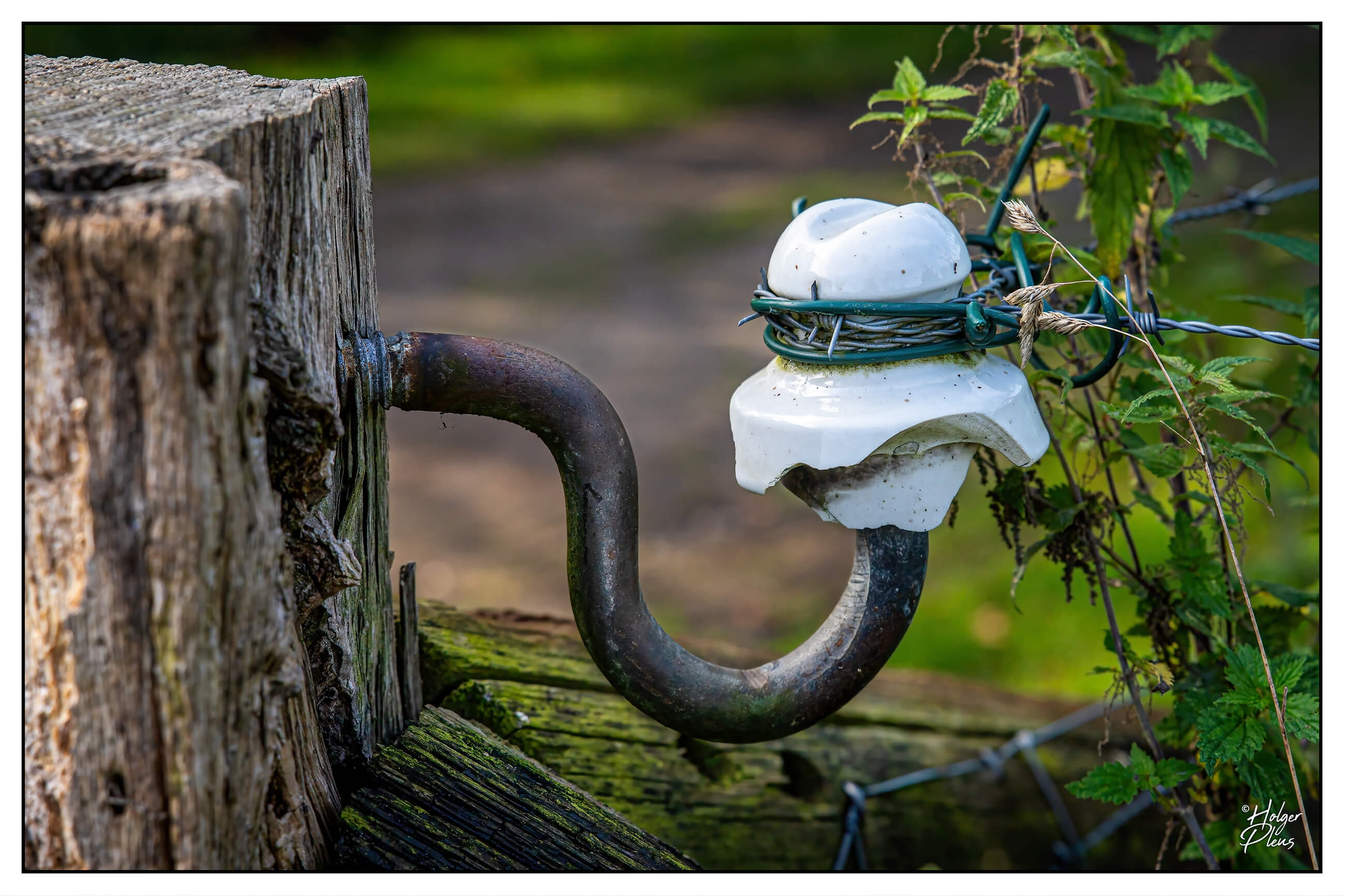 Zaunpfahl mit Porzellanisolator und Stacheldraht