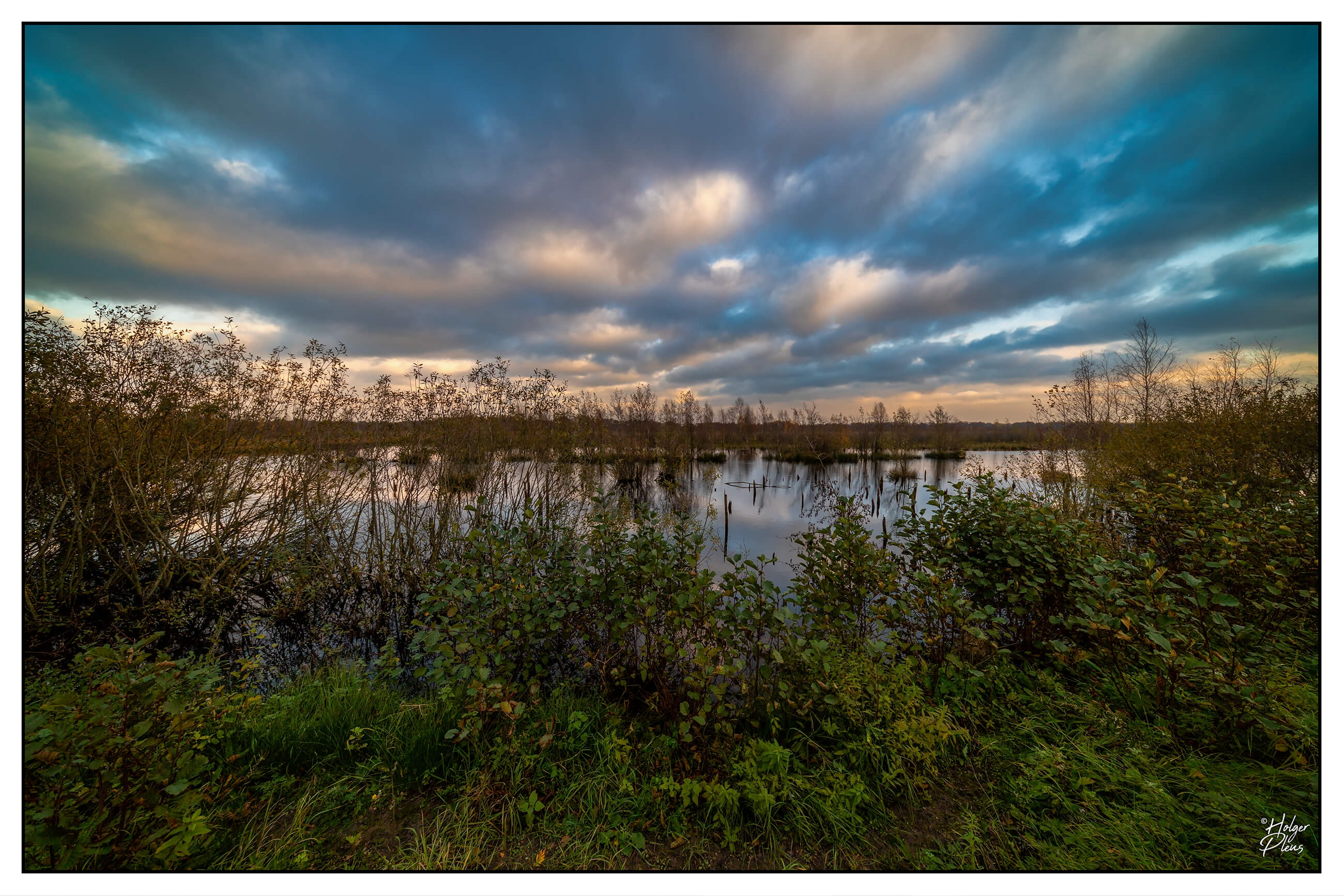 Abendliche Weitwinkelaufnahme eines Moortümpels mit Vegetation