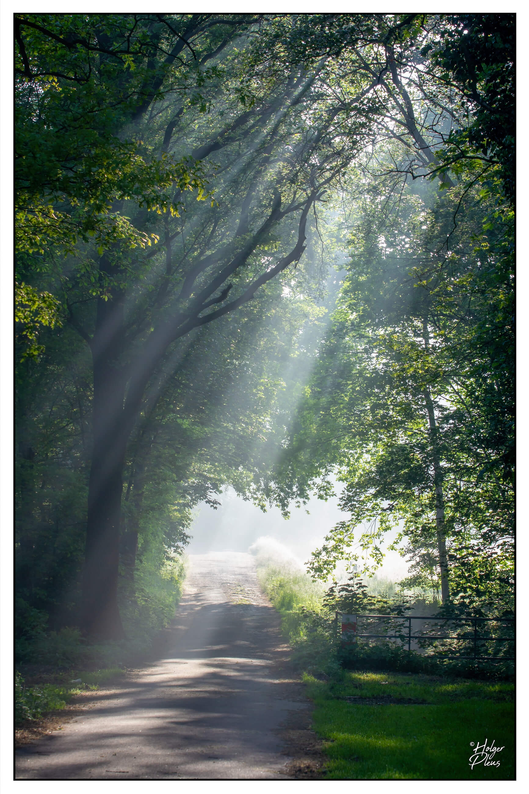 Fotografie einer Straße mit Sonnenstrahlen im aufsteigenden Dunst